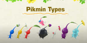 Pikmin Types Illustration Wallpaper