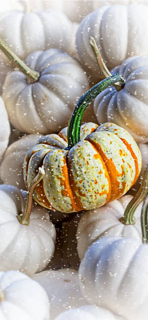 Pile Of Pumpkins Thanksgiving Aesthetic Iphone Wallpaper