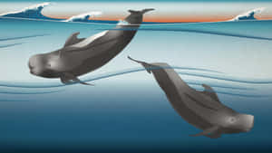 Pilot Whales Gliding Underwater Wallpaper