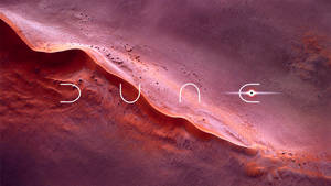 Pink Aerial Top Shot Dune 2021 Wallpaper