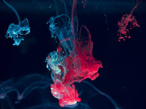 Pink And Blue Smoke Cool Pc Wallpaper