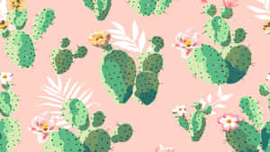 Pink And Green Cactus Pattern Wallpaper