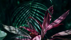 Pink And Green Tropical Leaves Wallpaper