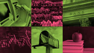 Pink And Green Visual Contrast Wallpaper