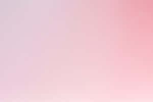 Pink And White Gradient Background Wallpaper