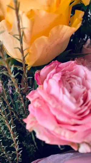 Pink And Yellow Aesthetic Rose Bouquet Wallpaper