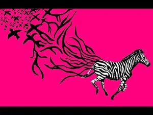 Pink Background Running Zebra Wallpaper