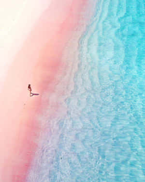 Pink Beach In Komodo Island Indonesia Wallpaper