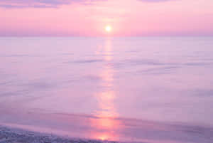 Pink Beach Sunset With Calm Waters Wallpaper