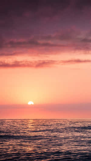 Pink Beach Sunset With Dark Clouds Wallpaper