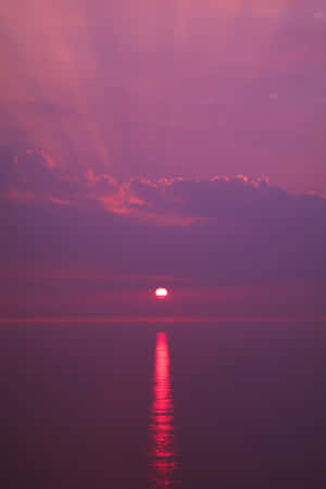 Pink Beach Sunset With The Sun's Reflection Wallpaper