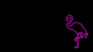 Pink Black Flamingo Art Wallpaper