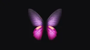 Pink Black Minimalist Butterfly Wallpaper