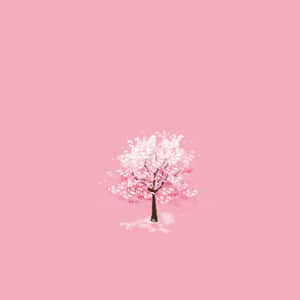 Pink Blossom Tree Minimalist Aesthetic Wallpaper