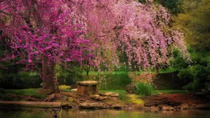 Pink Blossoms And Green Serenity Wallpaper