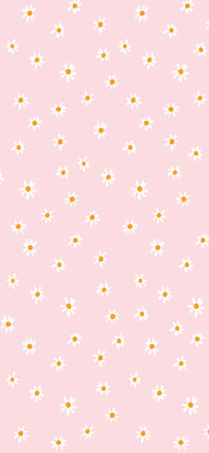 Pink Boho Daisy Pattern Wallpaper