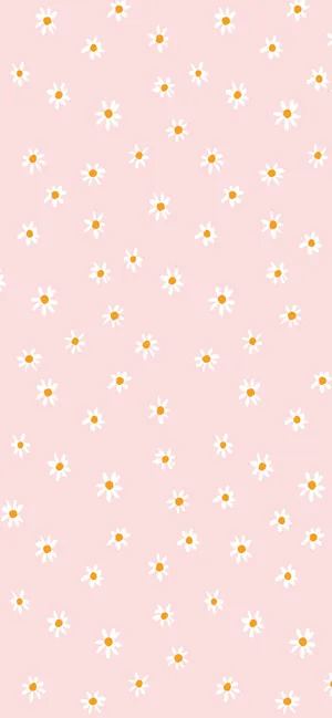 Pink Boho Daisy Pattern Wallpaper