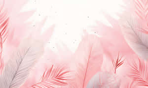 Pink Boho Feather Background Wallpaper