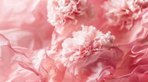 Pink Carnation Floral Arrangement Wallpaper