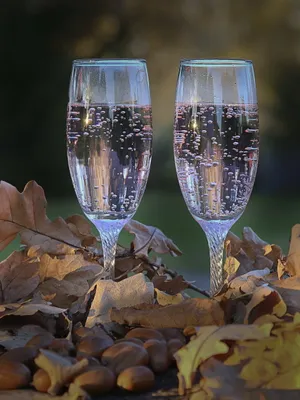 Pink Champagne Celebration Wallpaper