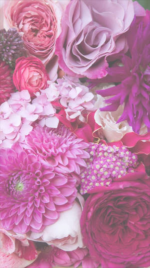 Pink Dahlia And Roses Floral Iphone Wallpaper