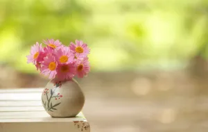 Pink Daisiesin Ceramic Vase Wallpaper