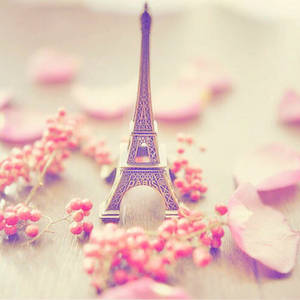 Pink Eiffel Tower Silver Wallpaper