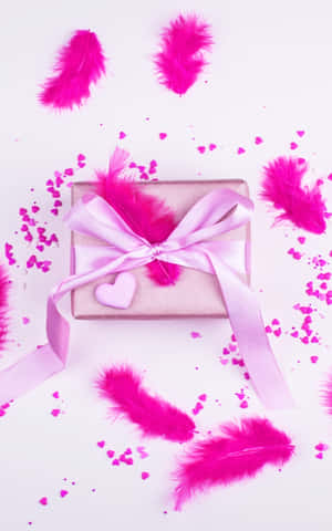 Pink Feather Gift Presentation Wallpaper