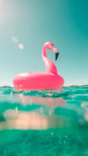 Pink Flamingo Pool Float Wallpaper