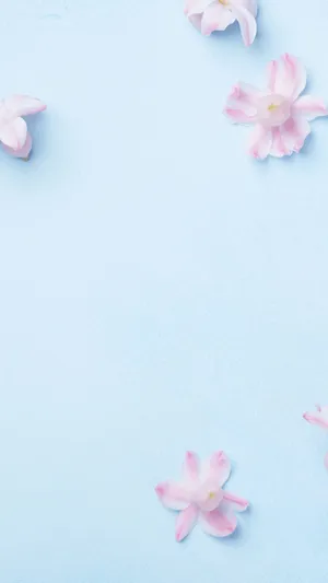 Pink Flowers On A Blue Background Wallpaper