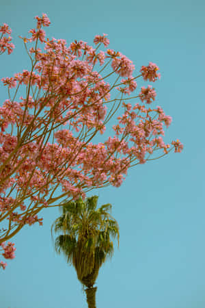 Pink Flowers Vulnerable Wallpaper