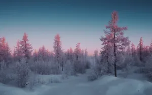 Pink Frosted Winter Forest Landscape Wallpaper