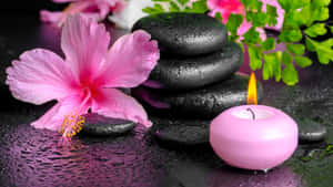 Pink Hibiscus Spa Setting Wallpaper