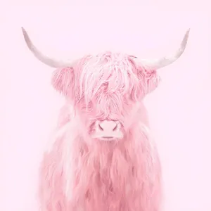 Pink Highland Cow Portrait Wallpaper