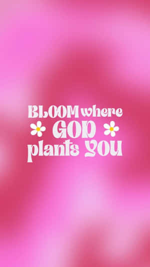 Pink Inspirational Bible Verse Graphic Wallpaper