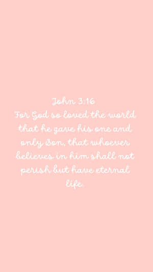 Pink John316 Bible Verse Wallpaper