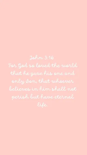 Pink John316 Bible Verse Wallpaper