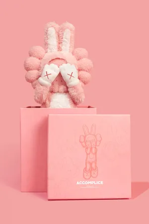 Pink Kaws Figurewith Box Wallpaper