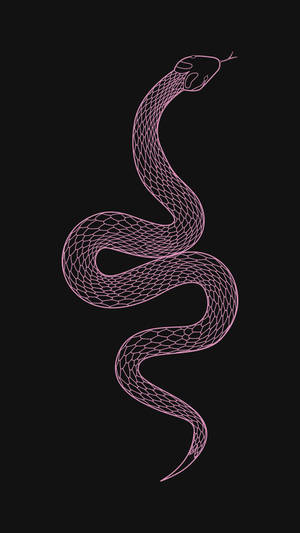 Pink King Cobra Art Wallpaper