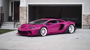 Pink Lamborghini Aventador Exterior Wallpaper