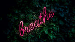Pink Neon Breathe Sign Wallpaper