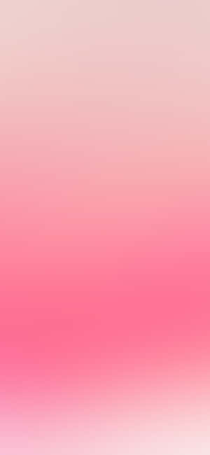 Pink Ombre Gradient Background Wallpaper