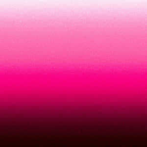 Pink Ombre Gradient Background Wallpaper