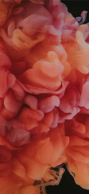 Pink Orange Floral Aesthetic Wallpaper