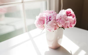 Pink Peony Flowers By A Window Wallpaper