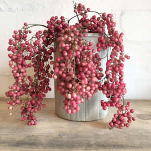 Pink Peppercorns Close-up Wallpaper