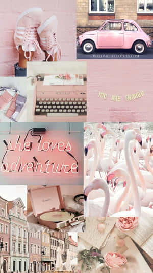 Pink, Pink, Pink, Pink, Pink, Pink, Pink, Pink, Pink, Pink, Pink, Pink, Pink, Pink, Pink, Pink, Wallpaper