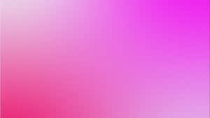 Pink Purple Gradient Background Wallpaper