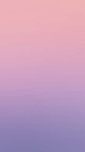 Pink Purple Gradient Background Wallpaper