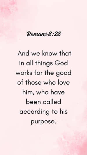 Pink Romans828 Bible Verse Wallpaper